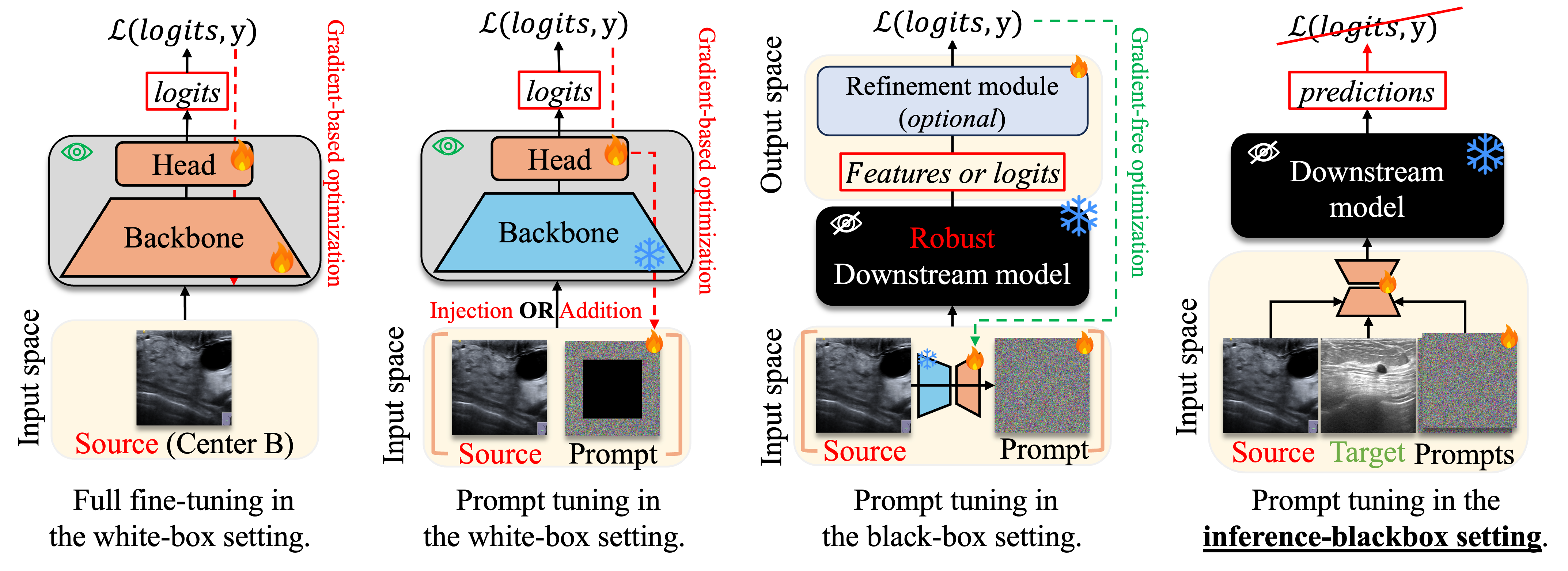 Inference black-box setting